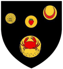 tourteau solaire copy.png