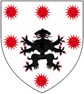 vorace haxopode copy