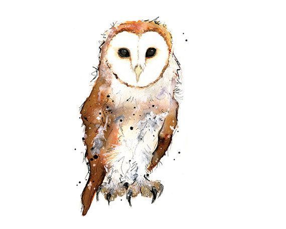 barn-owl-clipart-bird-face-2.jpg