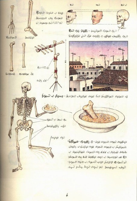 codex-seraphinianus-skeleton.jpg