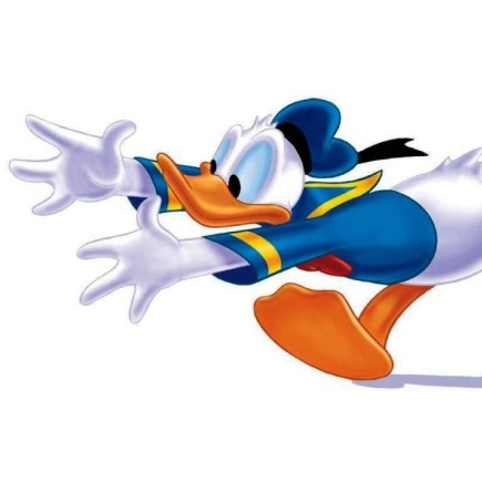 donald-duck-cartoon-hd.jpg