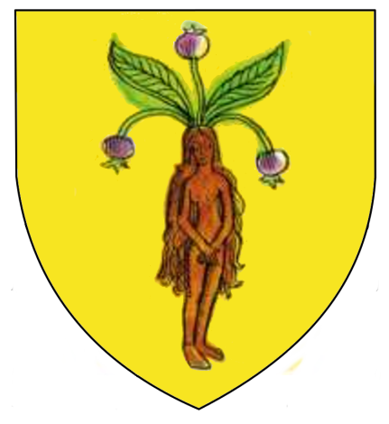 Mandragore.png