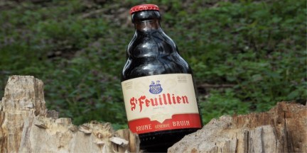 banni25c325a8re2bst2bfeuillien