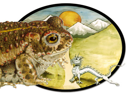 crapaud-dragon.jpg