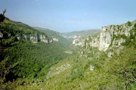 cevennes.jpg
