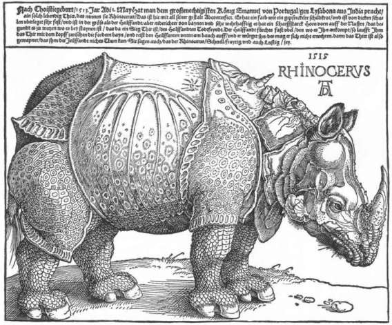 albrechtdurer_the_rhinoceros