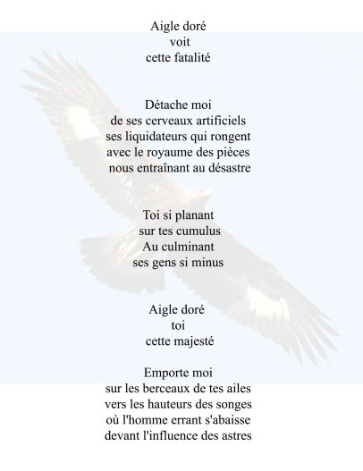 aigle doré