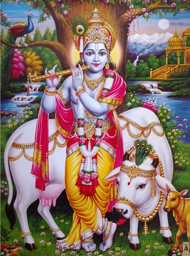 81bh3m1mljl._sl1500_