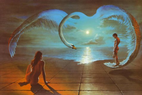 wings-of-love-by-stephen-006