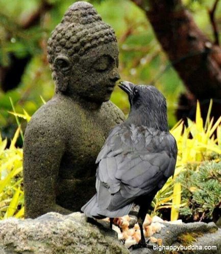 buddha-and-bird