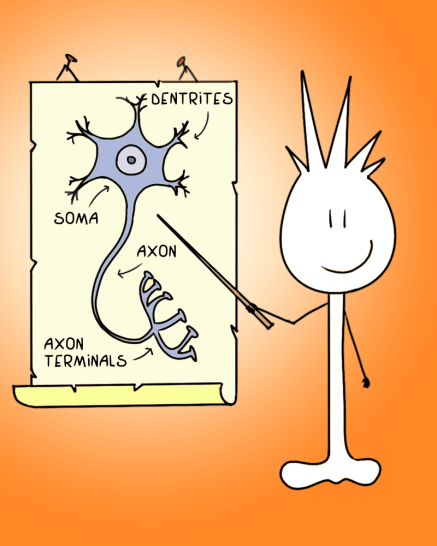 mappa-png-t-en-px300-800x1000-1