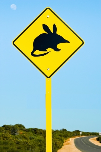 bilby_australia_sign