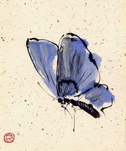 blue_butterfly