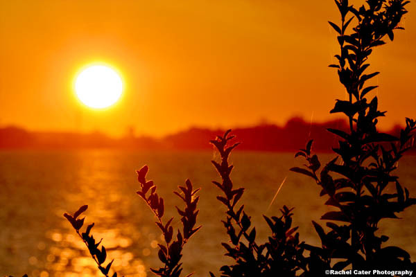 golden-morning-rache-cater-photography