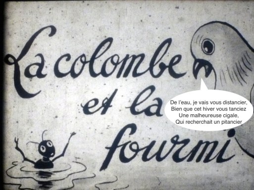 colombe-fourmi-2