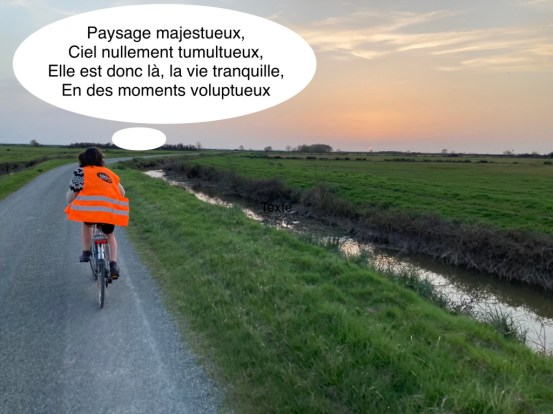 vélo