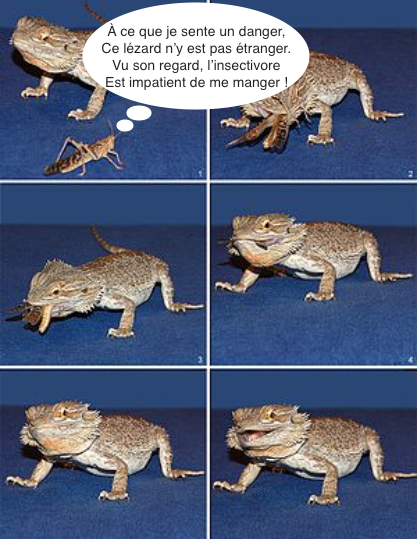 capture-decc81cran-2021-05-09-acc80-21.39.28