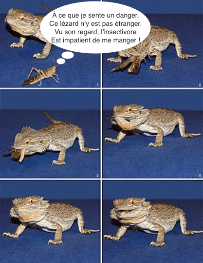 capture-decc81cran-2021-05-09-acc80-21.39.28